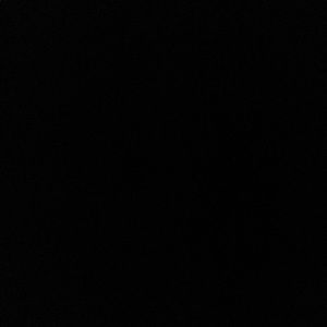 Meet your Posher, Isabella